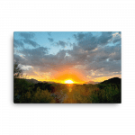 Arizona Sonoran Sunrise #2
